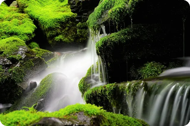구례 산수유축제 체험 가이드