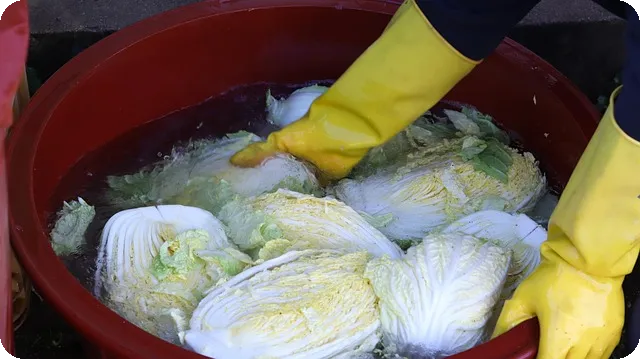 최여진 남편 김재욱 결혼 소식의 진실은?