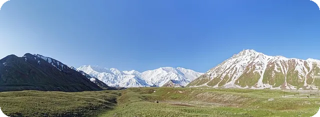 8체질 자가진단으로 맞춤형 건강 찾기
