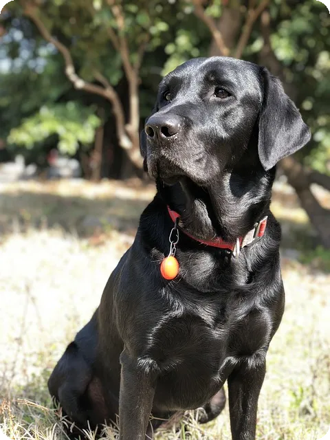 가나디 카톡테마로 업무 환경을 변화시키는 방법은?