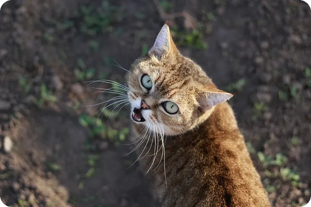김재욱 감독과 최여진의 사랑 이야기와 불륜 논란 진실은?