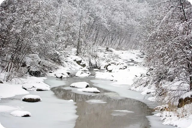 넷플릭스 폭싹 속았수다 최종 예고편 분석
