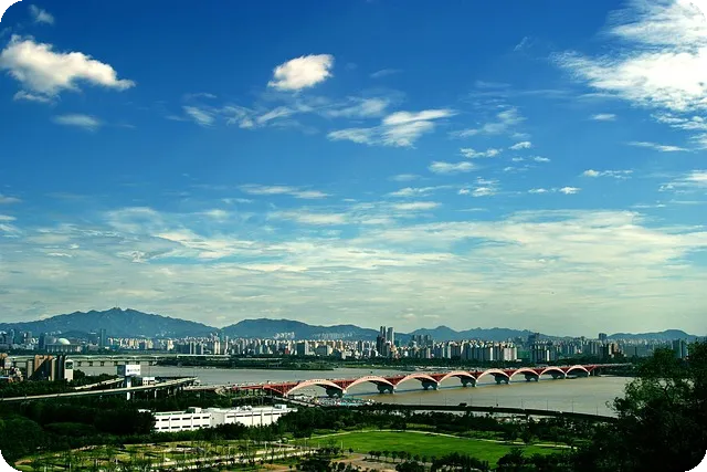 대청호 벚꽃 축제 일정과 정보 모두 알려드립니다