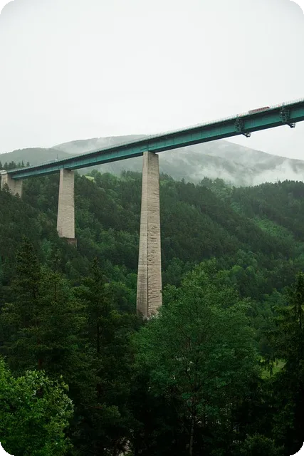 대한민국 요르단 최종예선 전력 분석