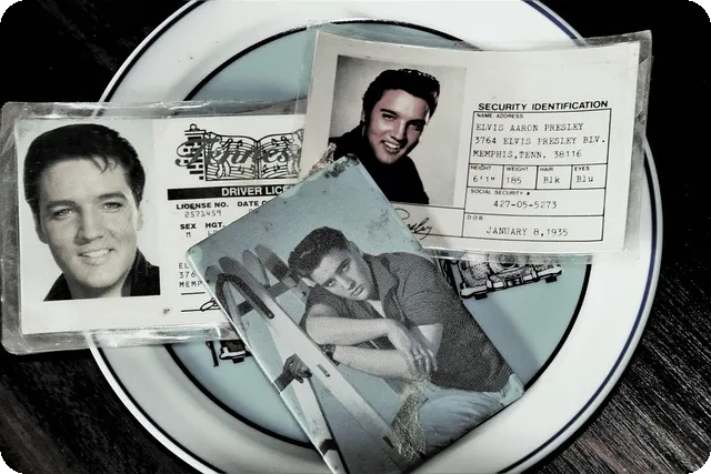 모바일 신분증의 모든 것 알아보기