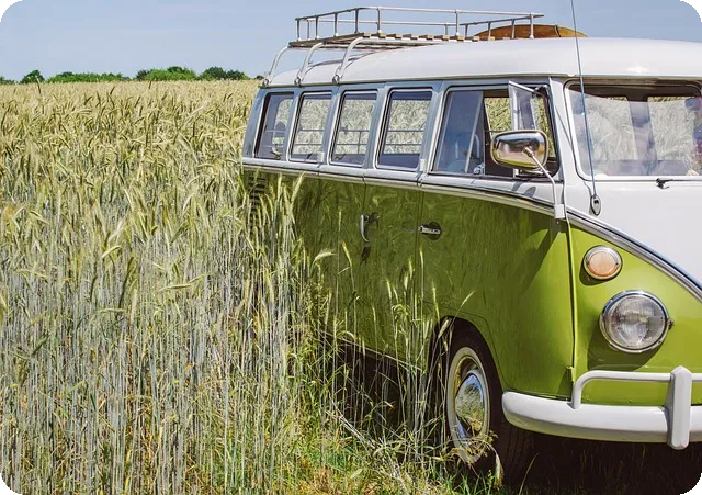 야구 인스타 스티커로 스토리 꾸미기