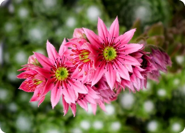 작일의 의미와 어제와의 차이는 무엇?