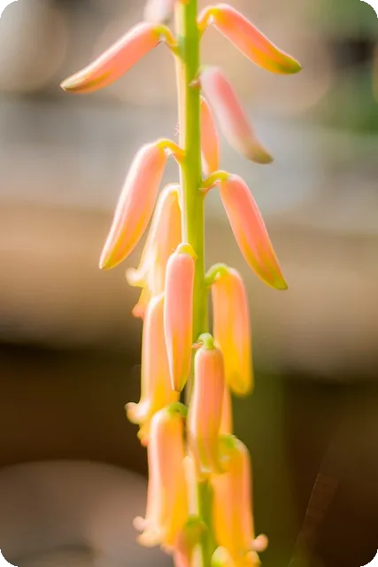 작일의 의미와 어제와의 차이는 무엇?