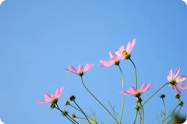 폭싹 속았수다 16화, 감동의 결말은?