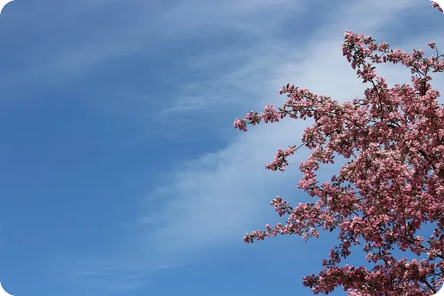 불꽃야구 연봉 비하인드 이야기 공개
